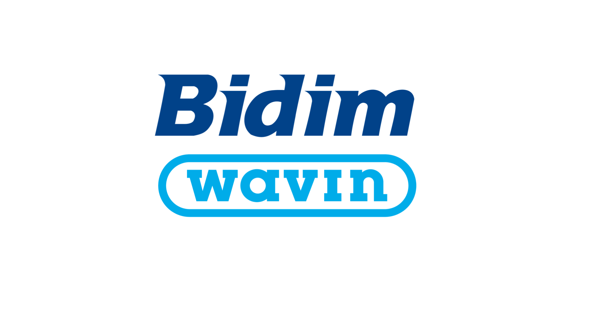 bidim-wavin-1.png